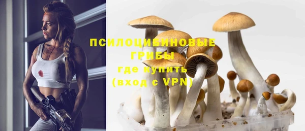 амф Алексеевка