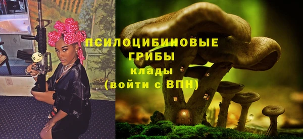 бутират Алексин