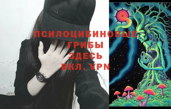 амф Алексеевка