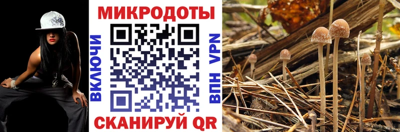 что такое   Кимры  Галлюциногенные грибы ЛСД 