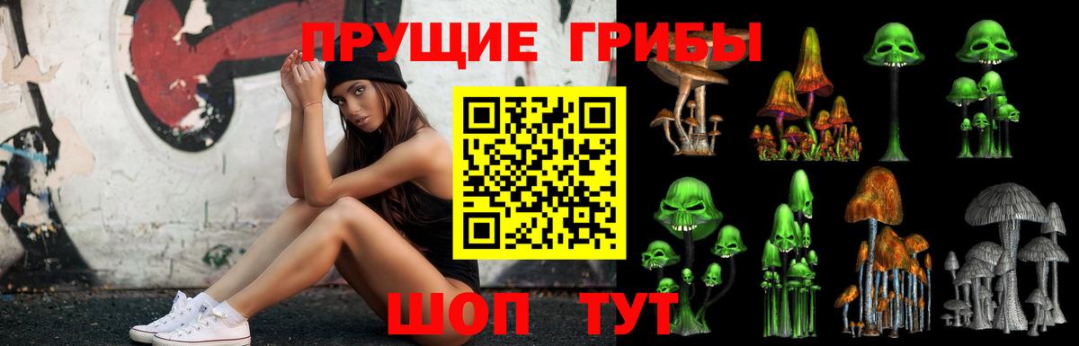 Псилоцибиновые грибы Cubensis  Вход с VPN  Кимры  где найти наркотики  Галлюциногенные грибы Magic Shrooms 